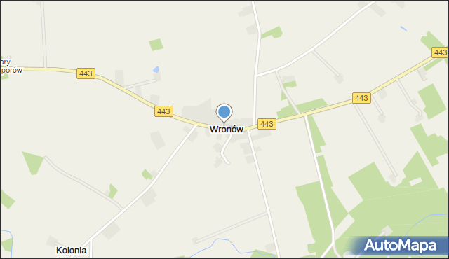 Wronów gmina Gizałki, Wronów, mapa Wronów gmina Gizałki