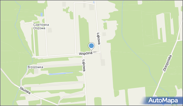 Borowiec gmina Tarczyn, Wspólna, mapa Borowiec gmina Tarczyn