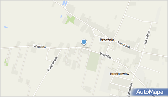 Bronisławów gmina Brzeźnio, Wspólna, mapa Bronisławów gmina Brzeźnio