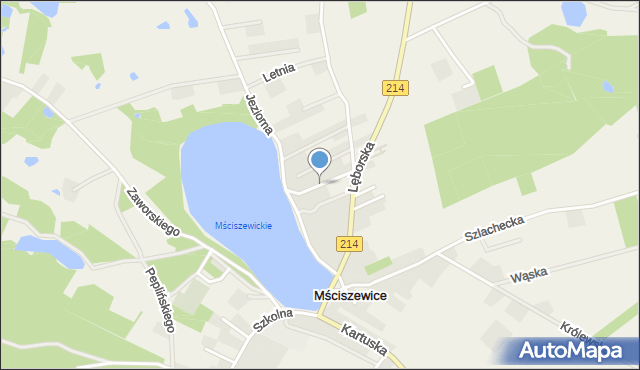 Mściszewice, Wspólna, mapa Mściszewice