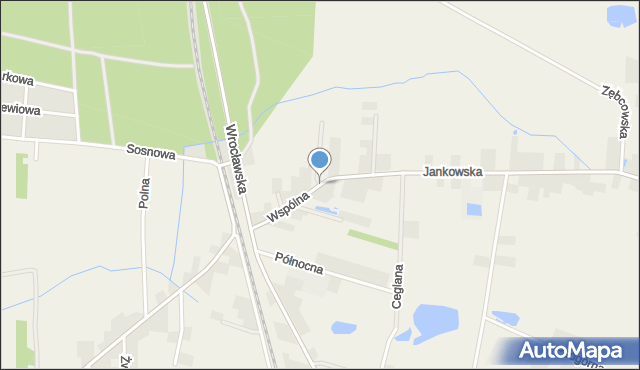 Przygodzice, Wspólna, mapa Przygodzice