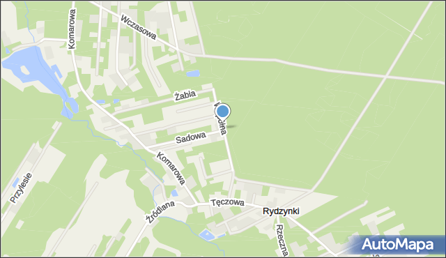 Rydzynki, Wspólna, mapa Rydzynki