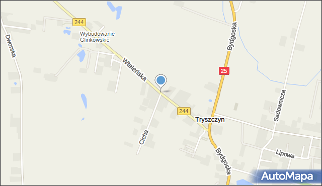 Tryszczyn, Wteleńska, mapa Tryszczyn