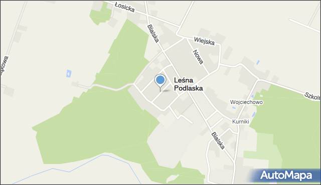 Leśna Podlaska, Wyszyńskiego Stefana, ks. kard., mapa Leśna Podlaska