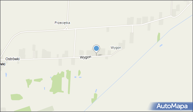 Ostrówki gmina Wohyń, Wygon, mapa Ostrówki gmina Wohyń