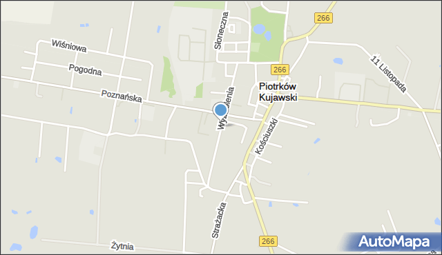 Piotrków Kujawski, Wyzwolenia, mapa Piotrków Kujawski