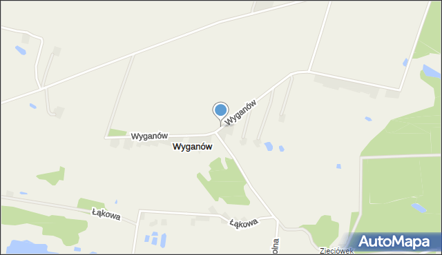 Wyganów gmina Świnice Warckie, Wyganów, mapa Wyganów gmina Świnice Warckie