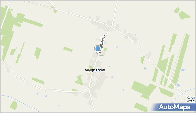 Wygnanów gmina Przytyk, Wygnanów, mapa Wygnanów gmina Przytyk