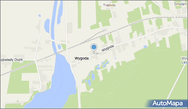 Wygoda gmina Ślesin, Wygoda, mapa Wygoda gmina Ślesin