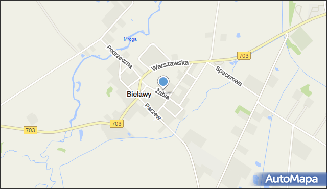 Bielawy powiat łowicki, Żabia, mapa Bielawy powiat łowicki