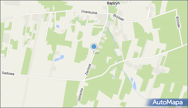 Dylew gmina Tuszyn, Zacisze, mapa Dylew gmina Tuszyn