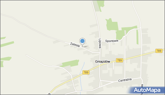 Gniazdów gmina Koziegłowy, Zalesie, mapa Gniazdów gmina Koziegłowy