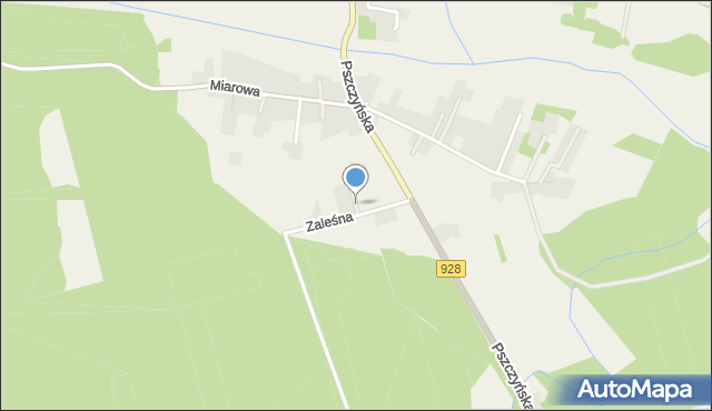 Gostyń gmina Wyry, Zaleśna, mapa Gostyń gmina Wyry