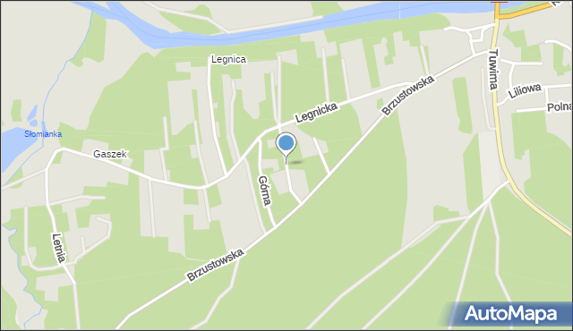 Inowłódz, Zagajnikowa, mapa Inowłódz