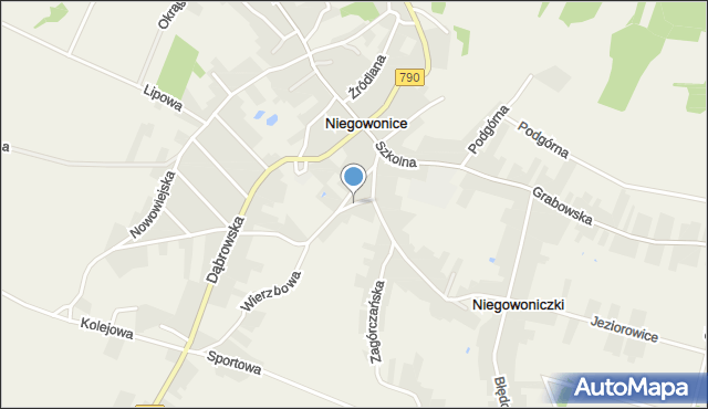 Niegowonice, Żabia, mapa Niegowonice