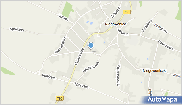 Niegowonice, Zamłynie, mapa Niegowonice