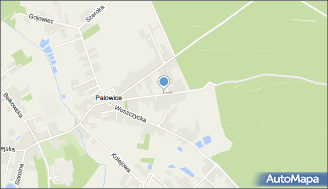Palowice, Zazdrosna, mapa Palowice