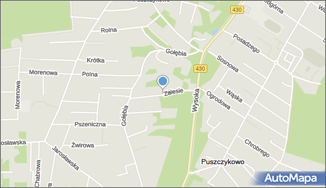 Puszczykowo powiat poznański, Zalesie, mapa Puszczykowo powiat poznański