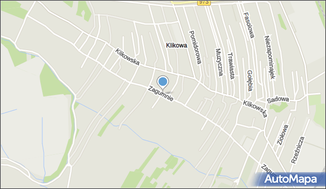 Tarnów, Zagumnie, mapa Tarnów