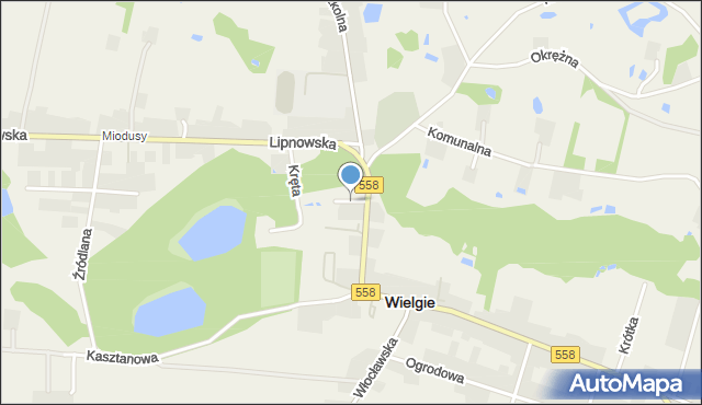 Wielgie powiat lipnowski, Żabia, mapa Wielgie powiat lipnowski