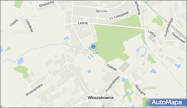 Włoszakowice, Zalesie, mapa Włoszakowice