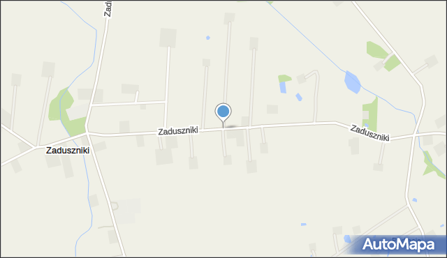 Zaduszniki gmina Wielgie, Zaduszniki, mapa Zaduszniki gmina Wielgie