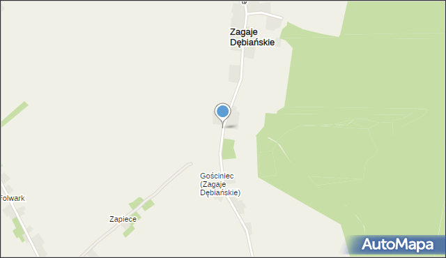 Zagaje Dębiańskie, Zagaje Dębiańskie, mapa Zagaje Dębiańskie