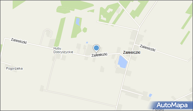 Zalesiczki, Zalesiczki, mapa Zalesiczki