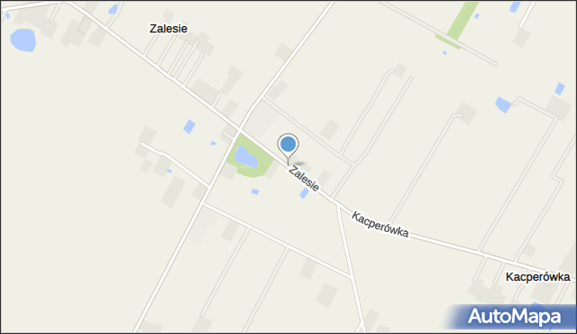 Zalesie gmina Błędów, Zalesie, mapa Zalesie gmina Błędów