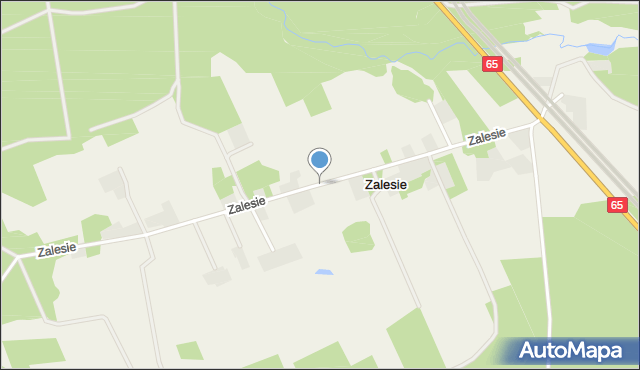 Zalesie gmina Dobrzyniewo Duże, Zalesie, mapa Zalesie gmina Dobrzyniewo Duże