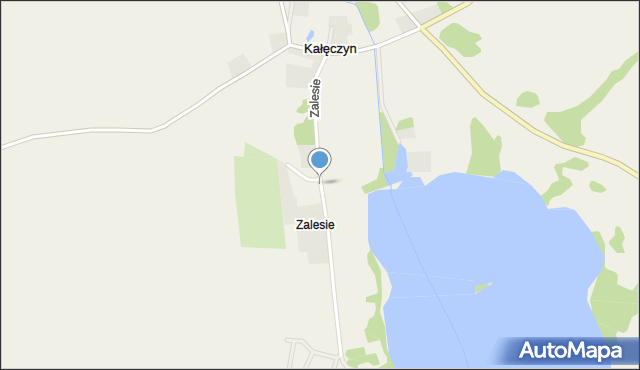 Zalesie gmina Dźwierzuty, Zalesie, mapa Zalesie gmina Dźwierzuty