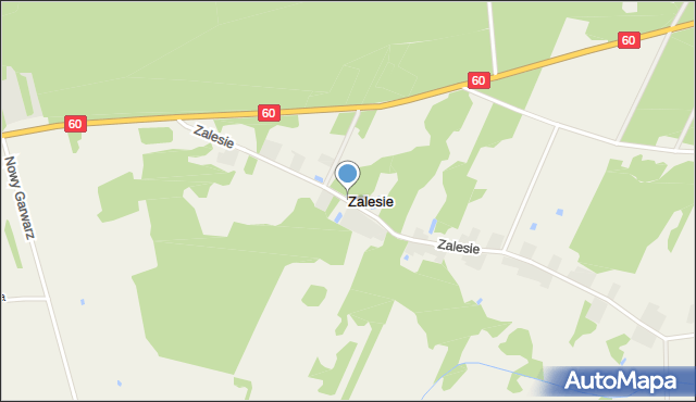 Zalesie gmina Glinojeck, Zalesie, mapa Zalesie gmina Glinojeck