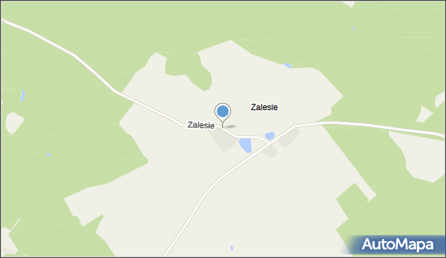 Zalesie gmina Małdyty, Zalesie, mapa Zalesie gmina Małdyty