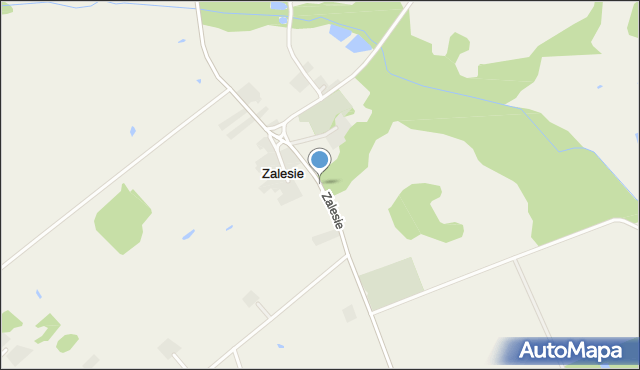 Zalesie gmina Sidra, Zalesie, mapa Zalesie gmina Sidra