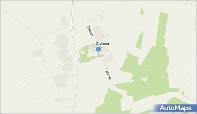 Zalesie gmina Wąsosz, Zalesie, mapa Zalesie gmina Wąsosz