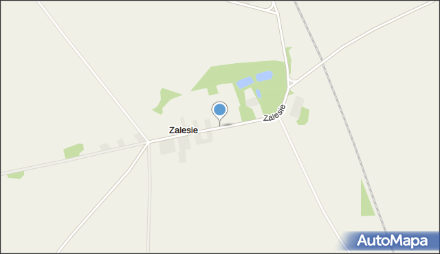 Zalesie gmina Zadzim, Zalesie, mapa Zalesie gmina Zadzim
