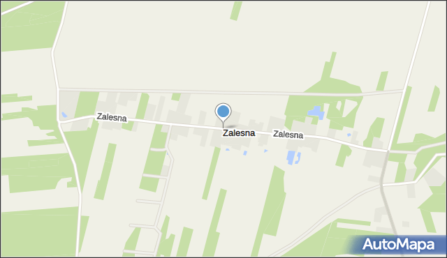 Zalesna, Zalesna, mapa Zalesna