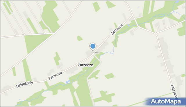 Zarzecze gmina Rawa Mazowiecka, Zarzecze, mapa Zarzecze gmina Rawa Mazowiecka