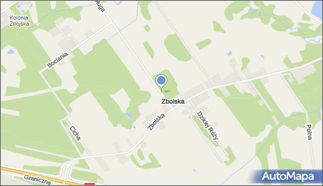 Zboiska gmina Radziejowice, Zboiska, mapa Zboiska gmina Radziejowice