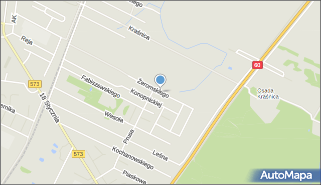 Gostynin, Żeromskiego Stefana, mapa Gostynin