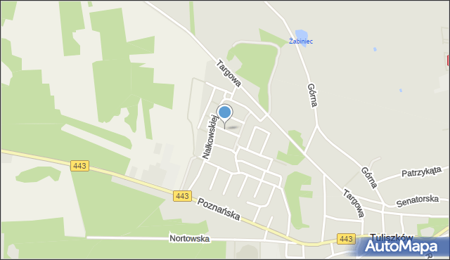 Tuliszków, Żeromskiego Stefana, mapa Tuliszków