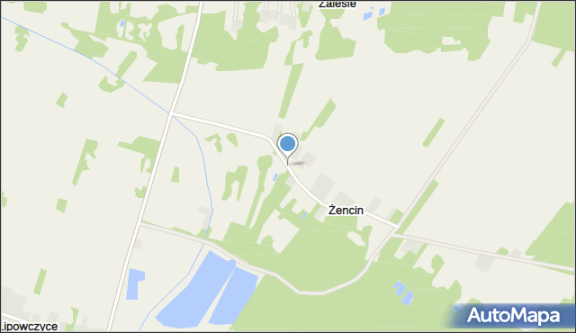 Żencin, Żencin, mapa Żencin