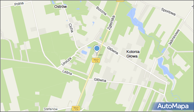 Kolonia Głowa, Zgierska, mapa Kolonia Głowa