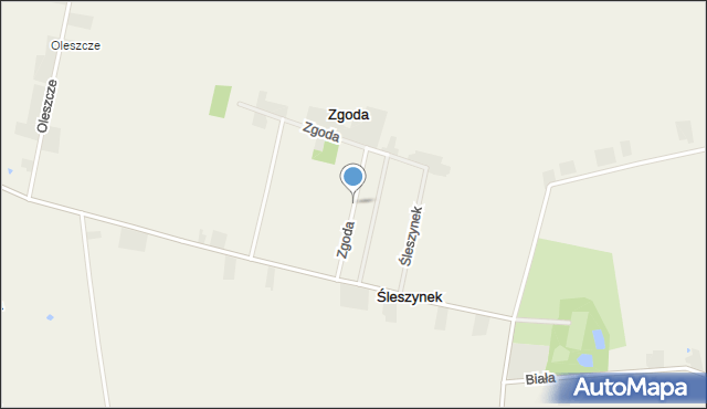 Zgoda gmina Żychlin, Zgoda, mapa Zgoda gmina Żychlin