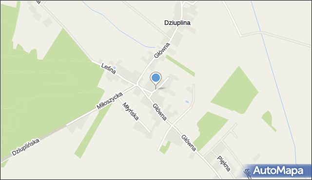 Dziuplina, Zielona, mapa Dziuplina