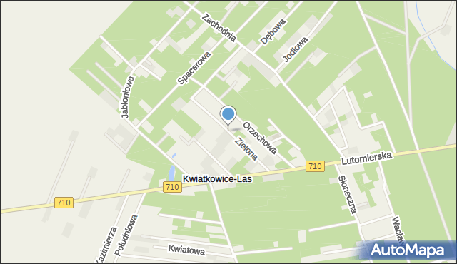 Kwiatkowice-Las, Zielona, mapa Kwiatkowice-Las