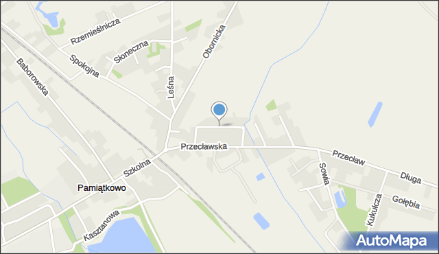 Pamiątkowo, Zielona, mapa Pamiątkowo