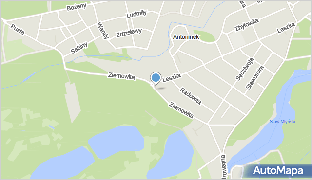 Poznań, Ziemowita, mapa Poznania