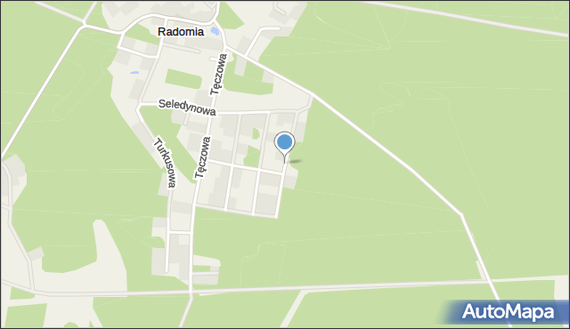 Radomia, Zielona, mapa Radomia