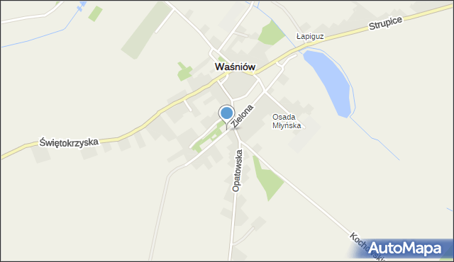 Waśniów, Zielona, mapa Waśniów